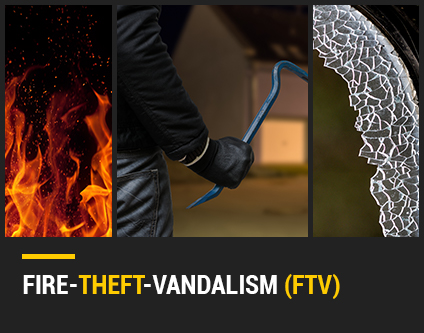 Fire-theft vandalism